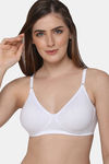 Intimacy Double layered Non Padded Non Wired Medium Coverage Everday T-shirt Bra (Pack of 3) - Multicolor — thumbnail 10